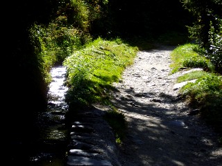 Bise du Trient - Col de la Forclaz