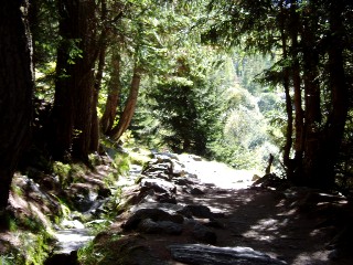 Bise du Trient - Col de la Forclaz