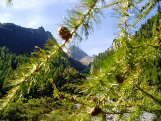 Bise du Trient - Col de la Forclaz