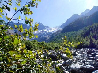 Bise du Trient - Col de la Forclaz